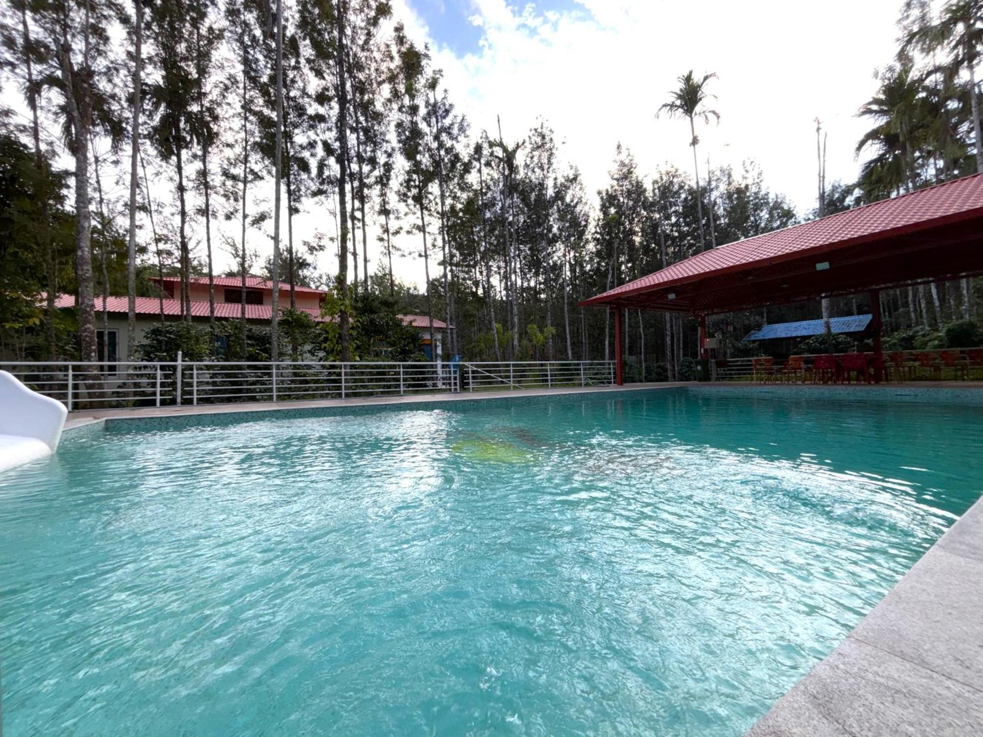 Ecstasy Tent Stay With Swimming Pool & Common Washroom Chikmagalūr Eksteriør bilde